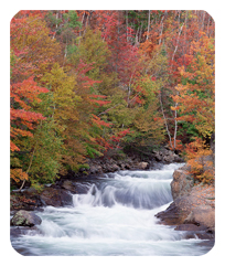 Serenity Prayer Water Falls